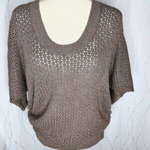 Express Copper & Brown Pullover Knit Sweater
